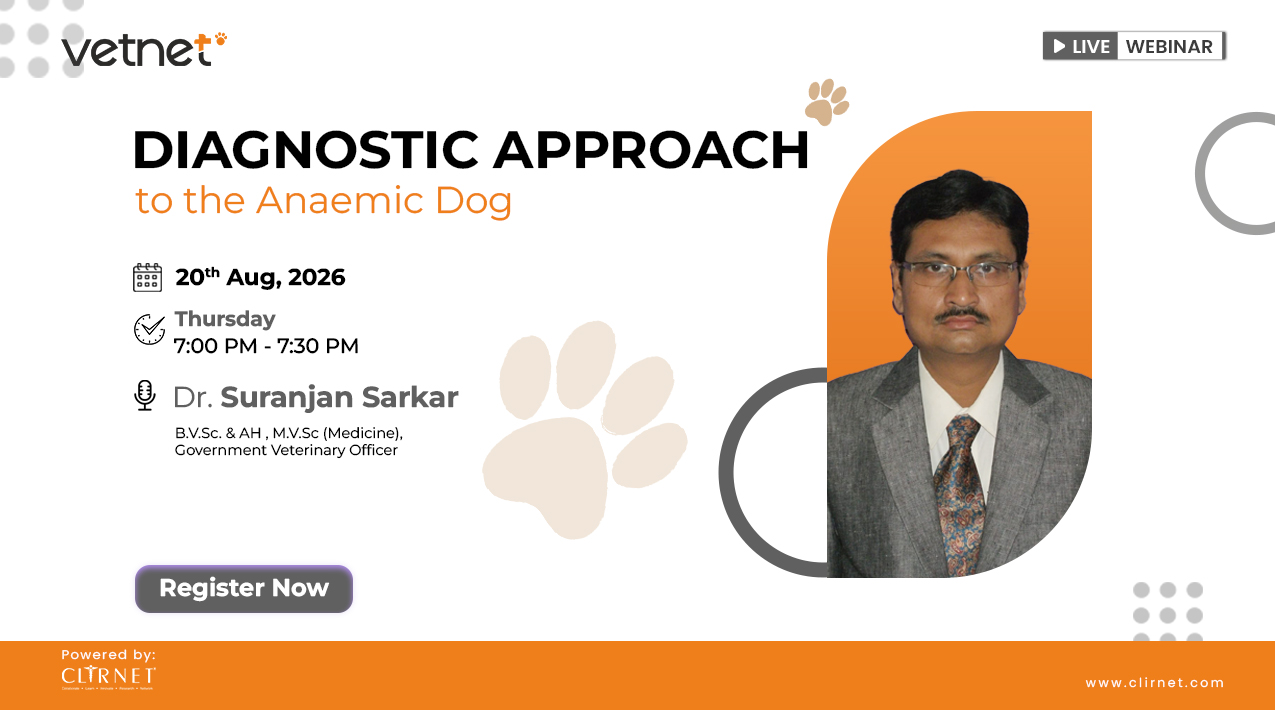 Diagnostic Approach to the Anaemic Dog